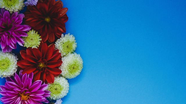 病的恢复期 病的恢复期