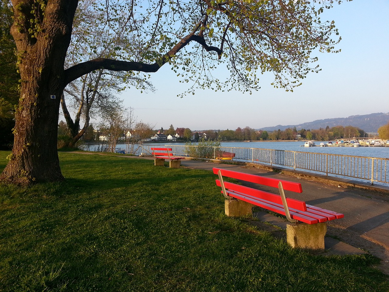 幅幅动态的 幅幅动态的
