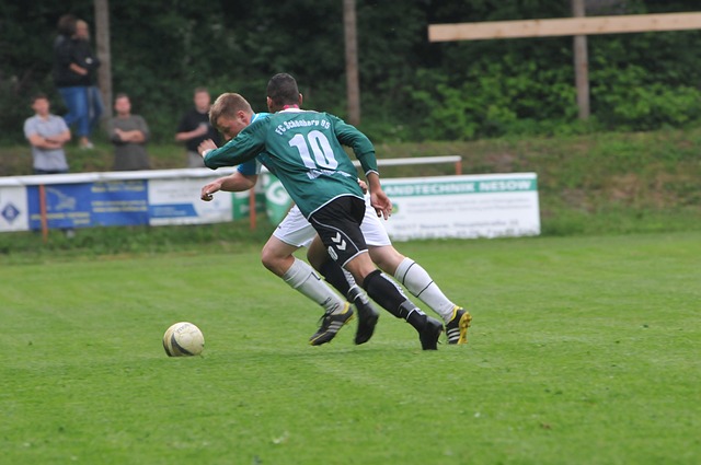 节都展示了 节都展示了